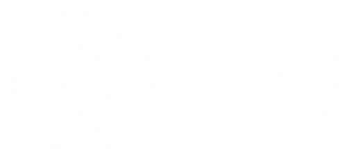 Kiwi Market logo